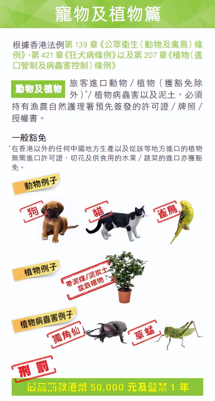 带青菜回香港,带菜到香港