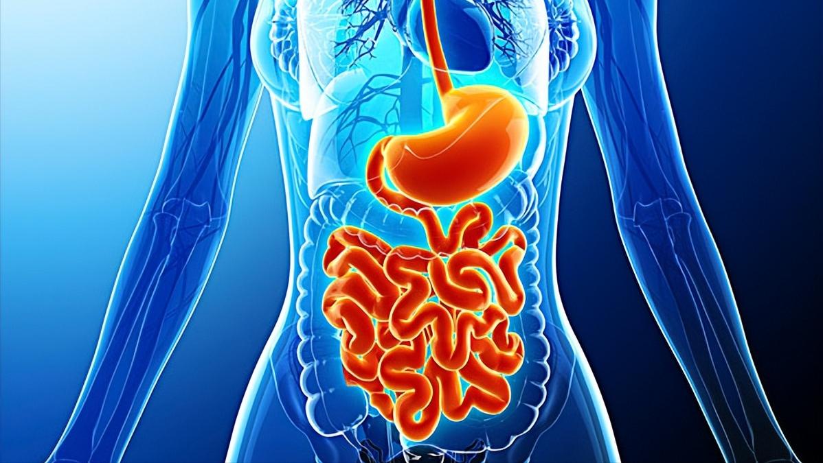 中老年早餐如何吃最合理和有营养,中老年早餐吃什么好比较有营养的