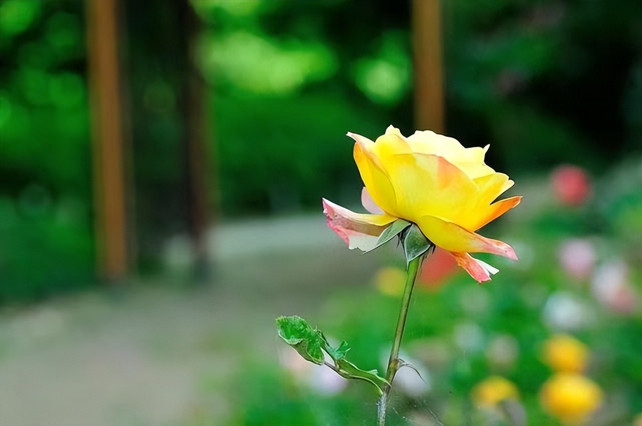 与人相处时应懂得的四句话,人与人交流的七句话