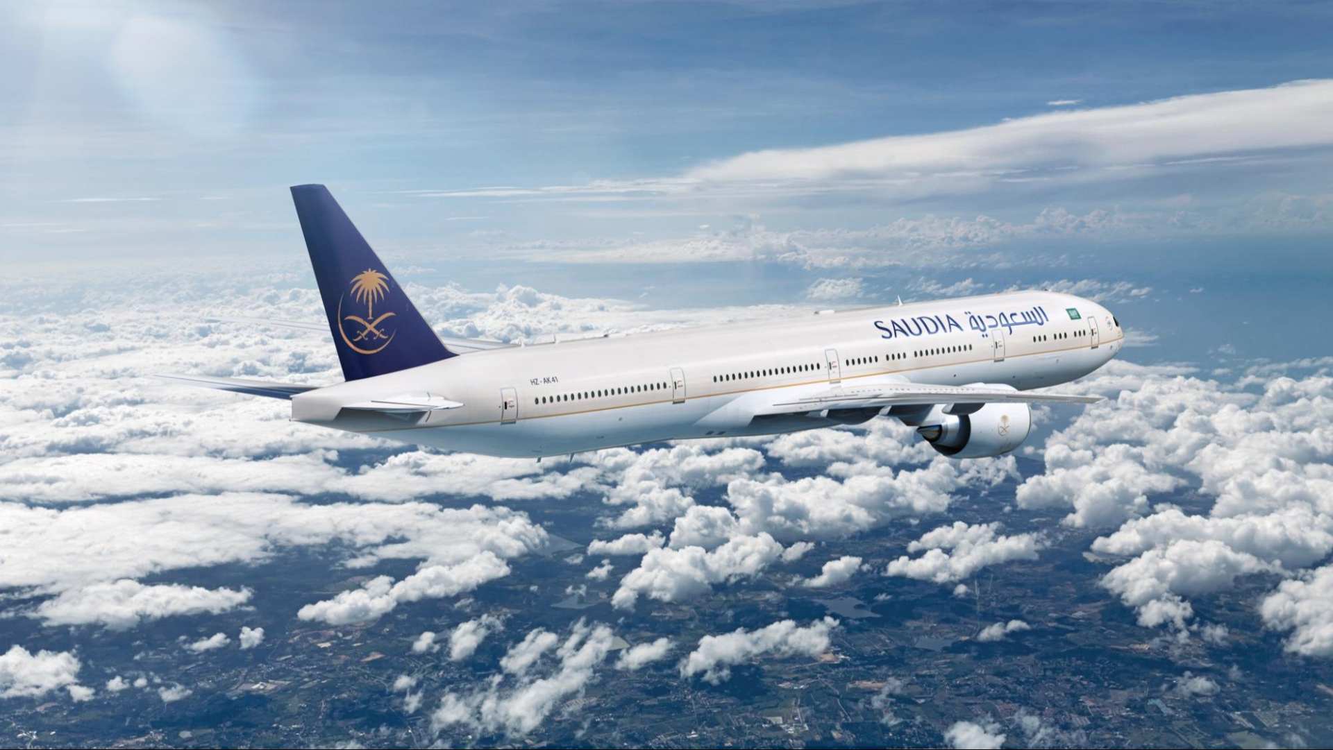 湾区羙好生活周报｜星语祝福，十二月新愿季