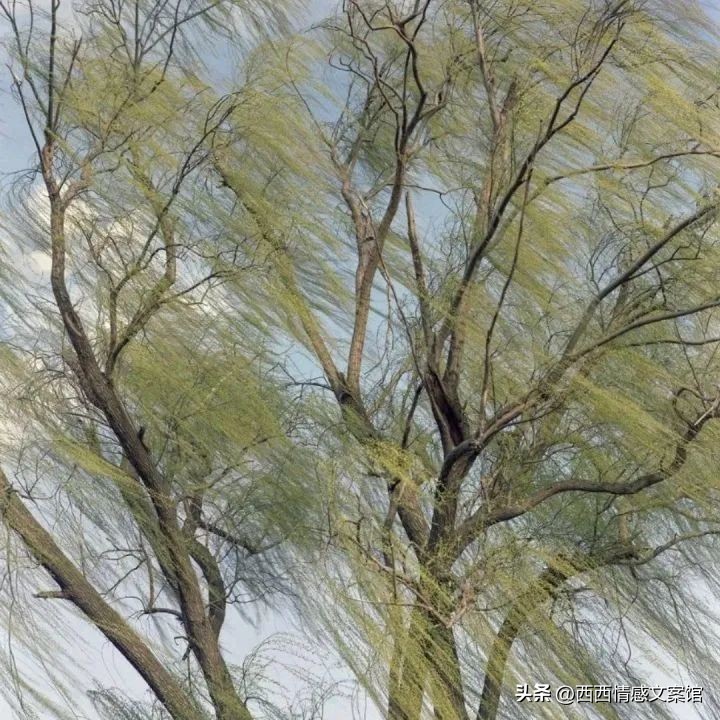 关于坚守的座右铭名言警句,坚守平凡岗位座右铭