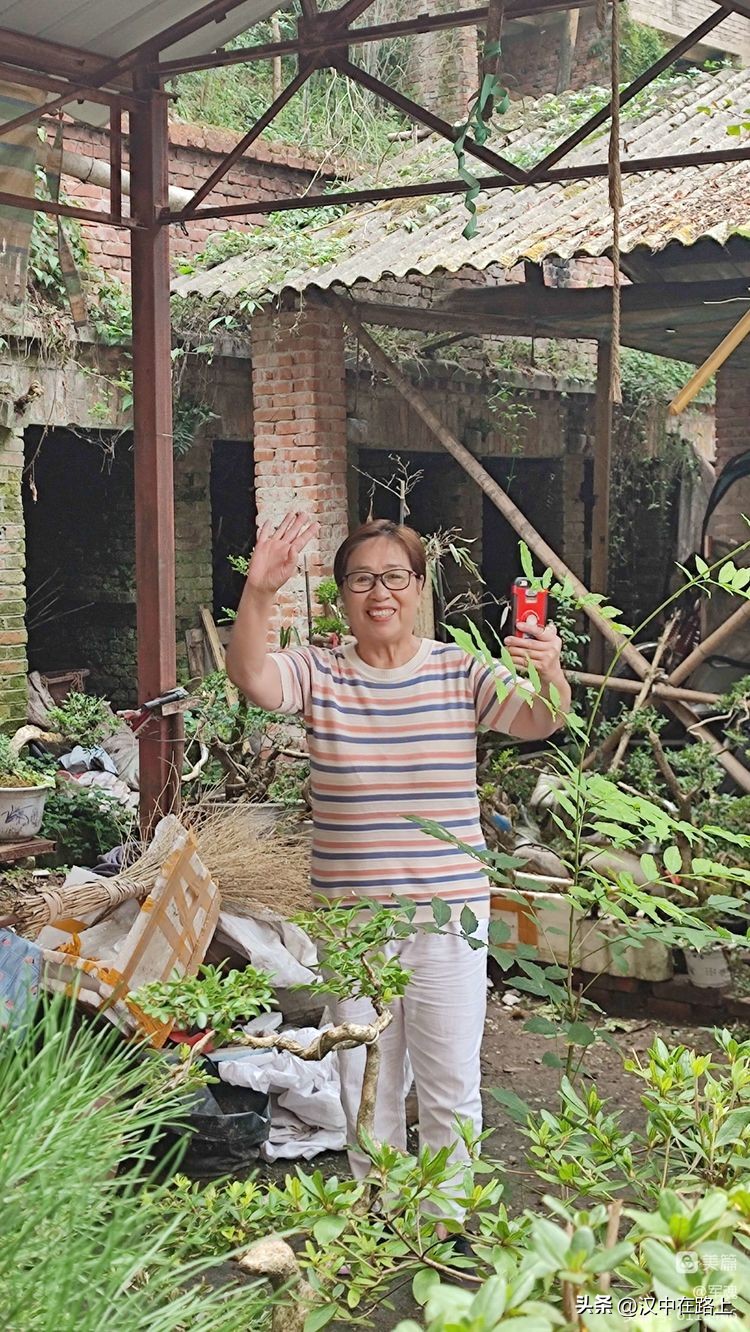 南峰心声,南峰情头