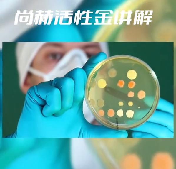 尚赫仪器多少钱一台正品,尚赫公司是合法的吗