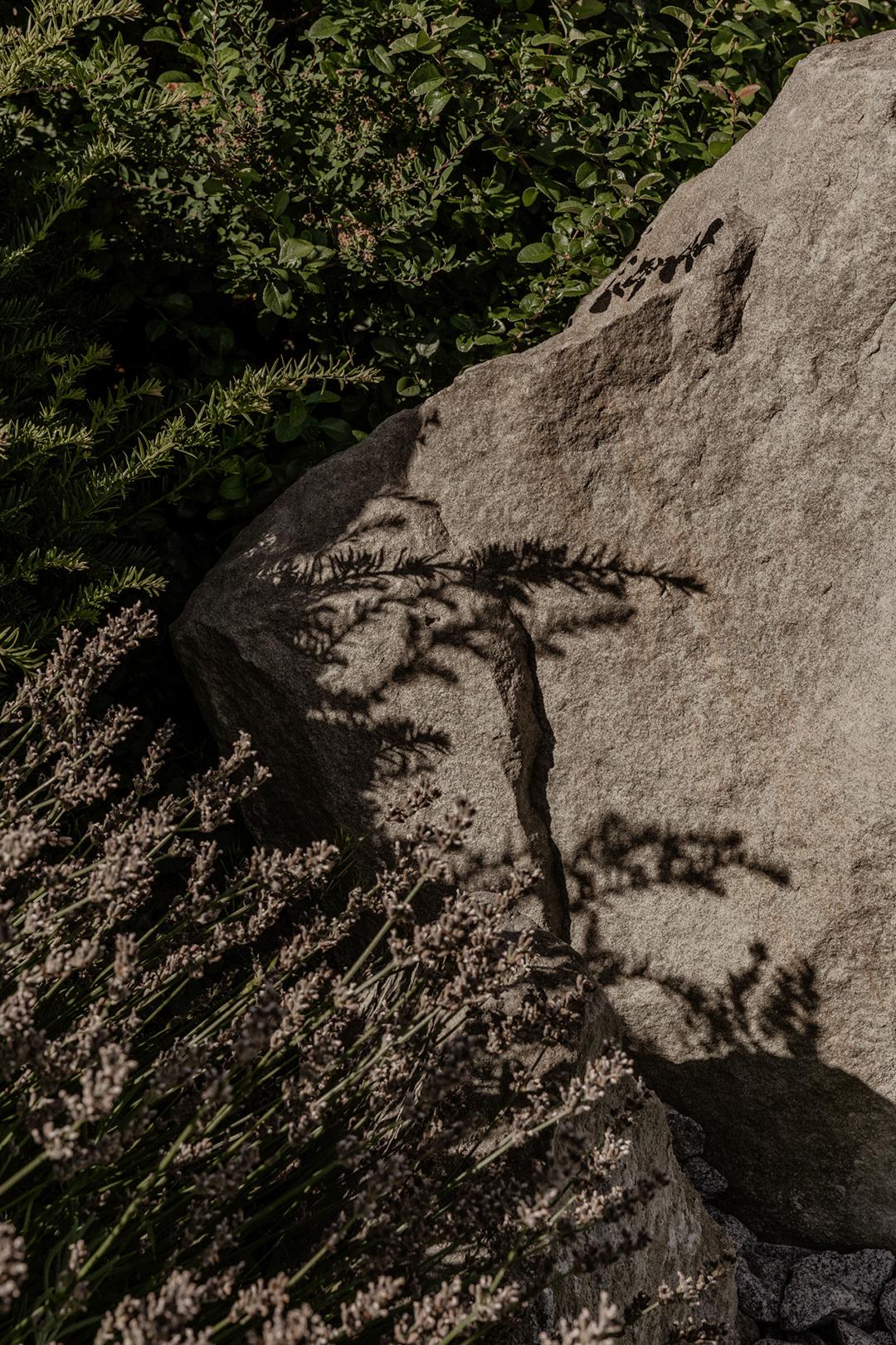 现代极简混凝土风格别墅,混凝土极简