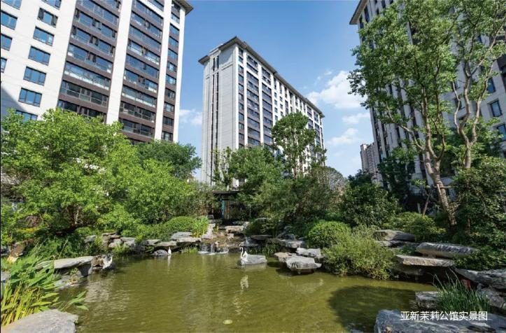 亚新紫藤公馆和海棠公馆,亚新紫藤公馆和亚新海棠公馆比较