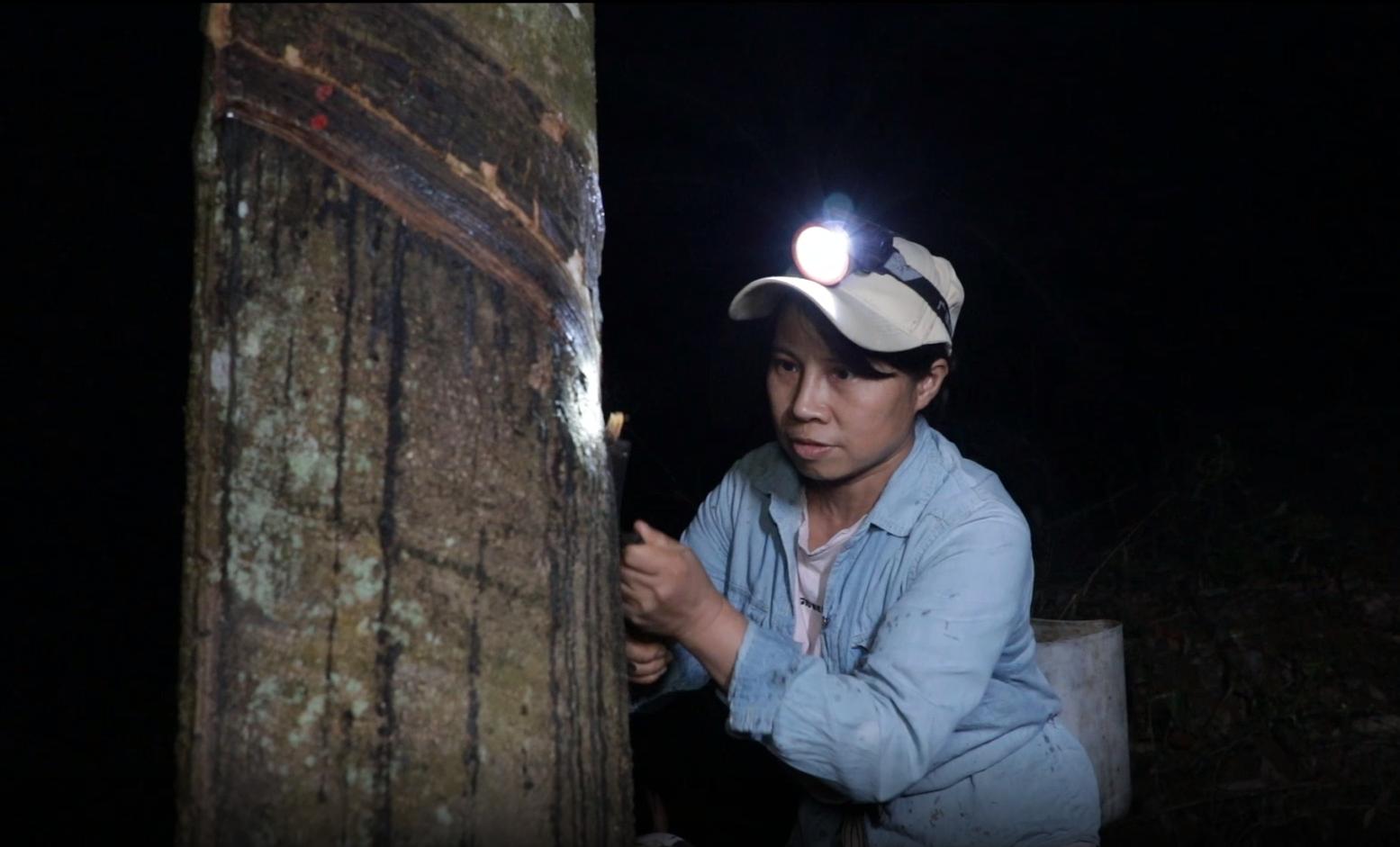 美国对华武器禁运是多少年开始的,美国对华军事禁运是哪一年