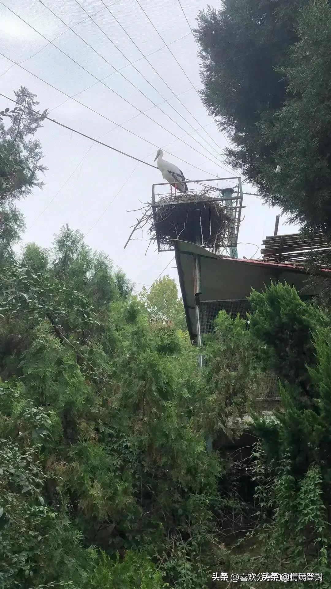 我在农村的建房历程,我在农村建房经历