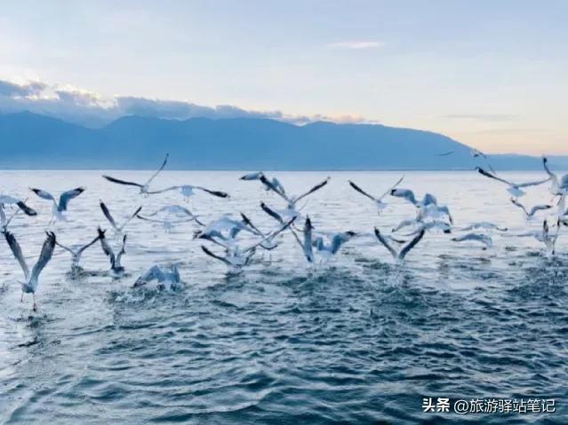 苍山景区游玩攻略,大理苍山旅游攻略小说