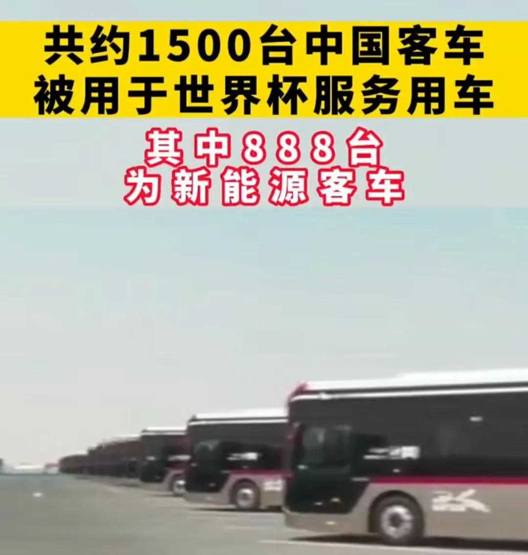 第22届卡塔尔世界杯足球时间,卡塔尔世界杯经典战役