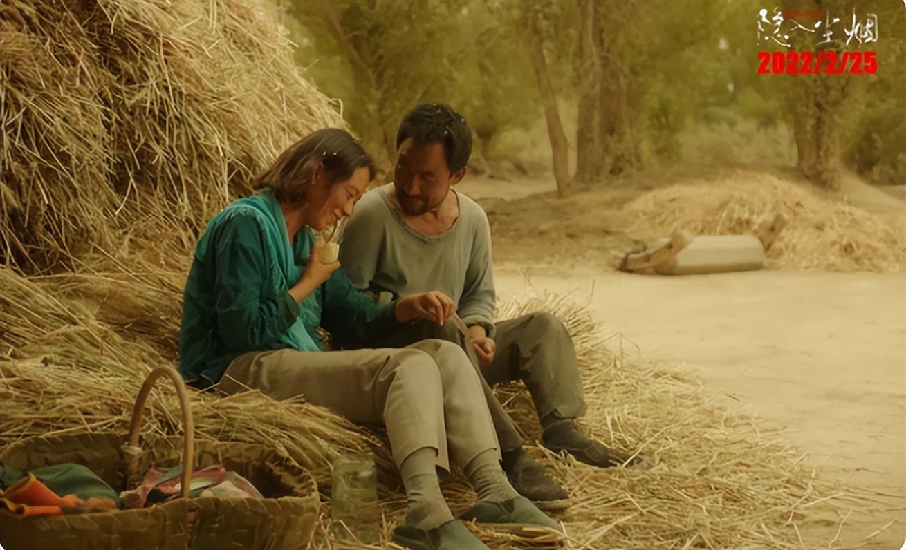 隐入尘烟十部值得一看的电影,隐入尘烟电影国语版西瓜视频