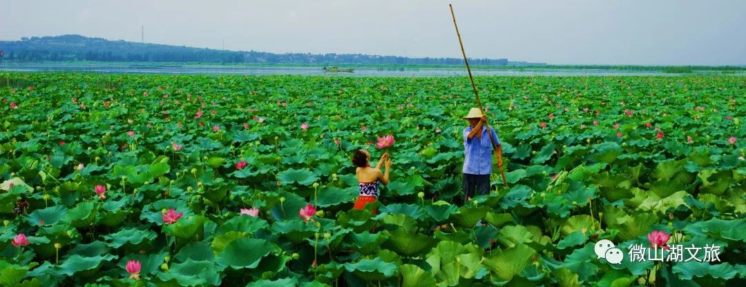 微山湖