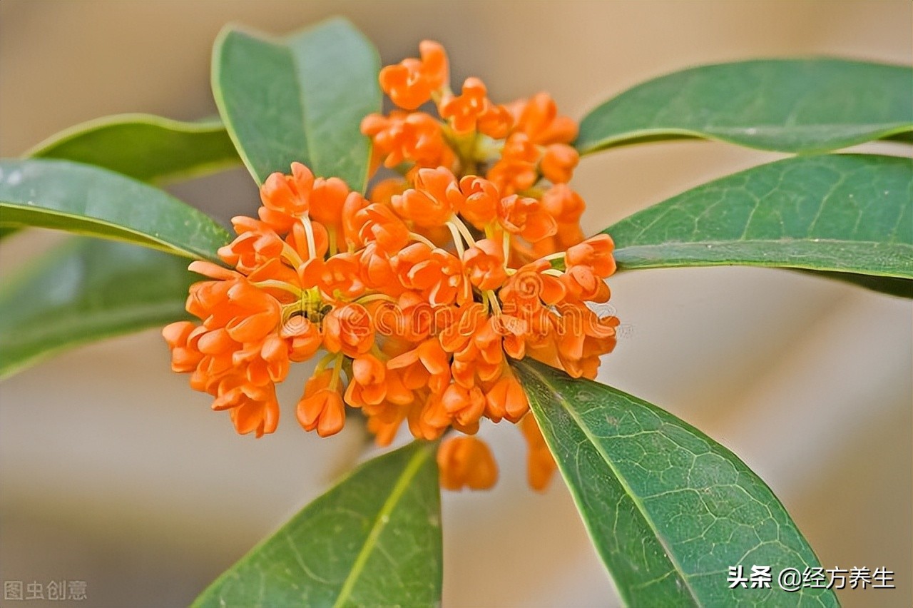 巧合还是天意？几年前治愈的精神病案例反馈到今天的病例上