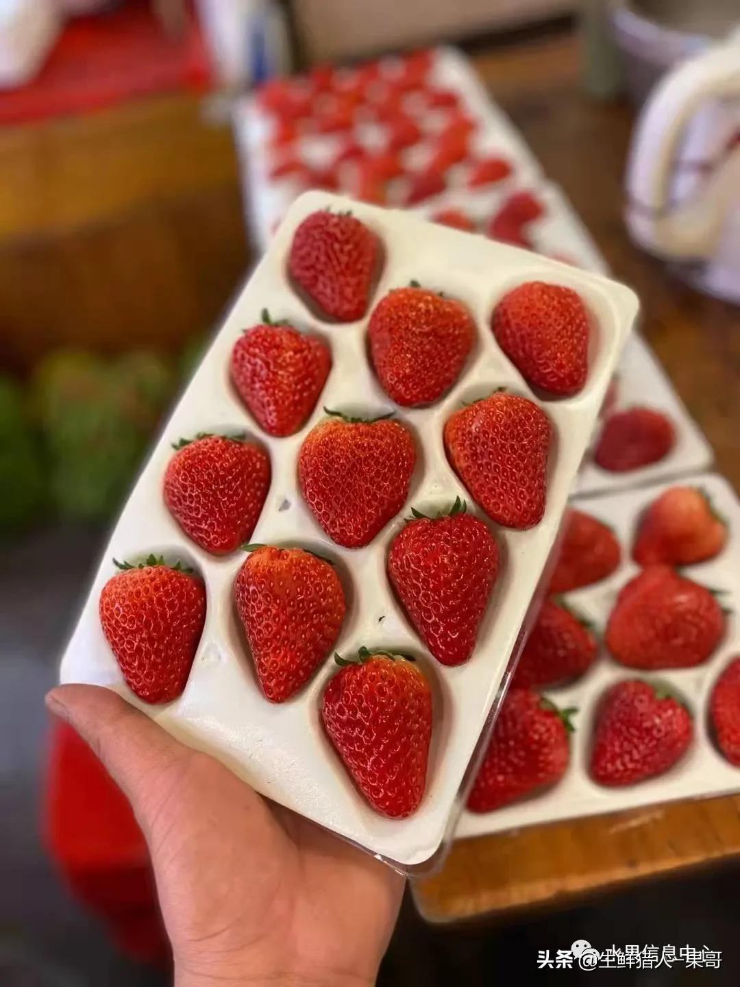 在水果中浆果是分哪几种,水果分类浆果