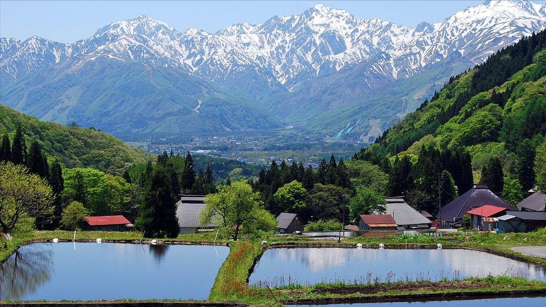 日本购买大量海外土地,日本大量在外国买地