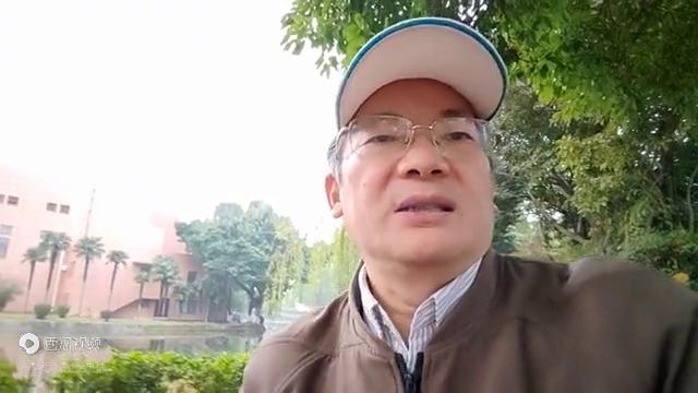 股市里赚钱一定要靠逻辑和大势吗,股市赚钱靠自己的方法