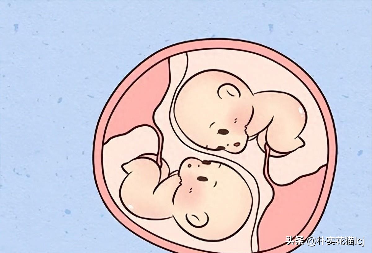 精子受孕未成功后去哪了,没有成功受孕的精子都去哪里了