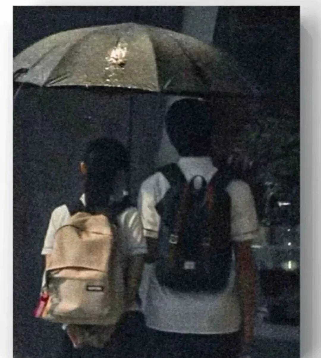 关于张万森最好的文案,关于张万森和林北星的文案