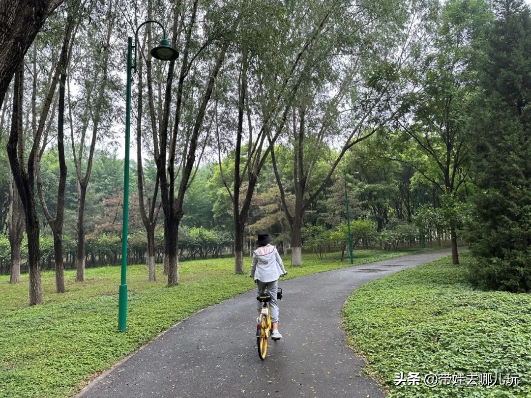 可搭帐篷公园,可以骑车搭帐篷的公园