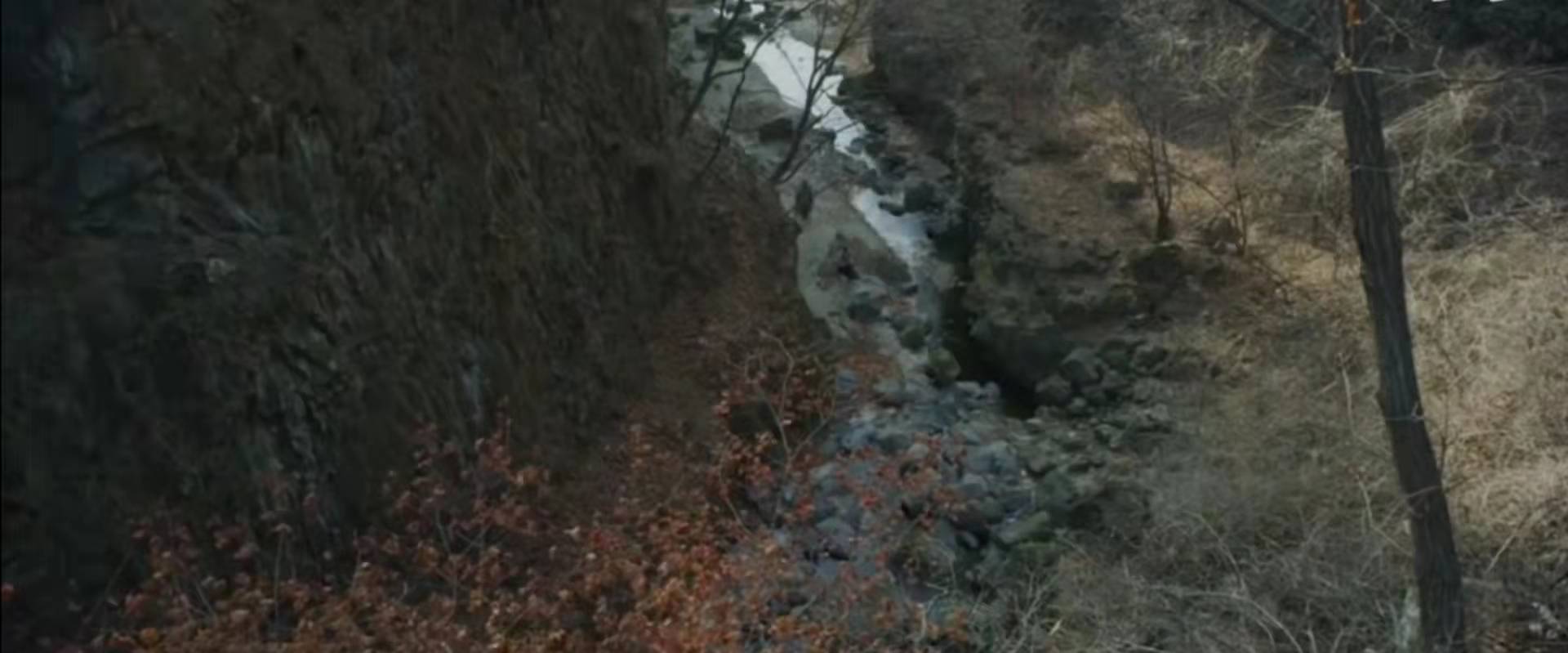 王国韩国丧尸片第一季讲了什么,王国丧尸片韩国版名字