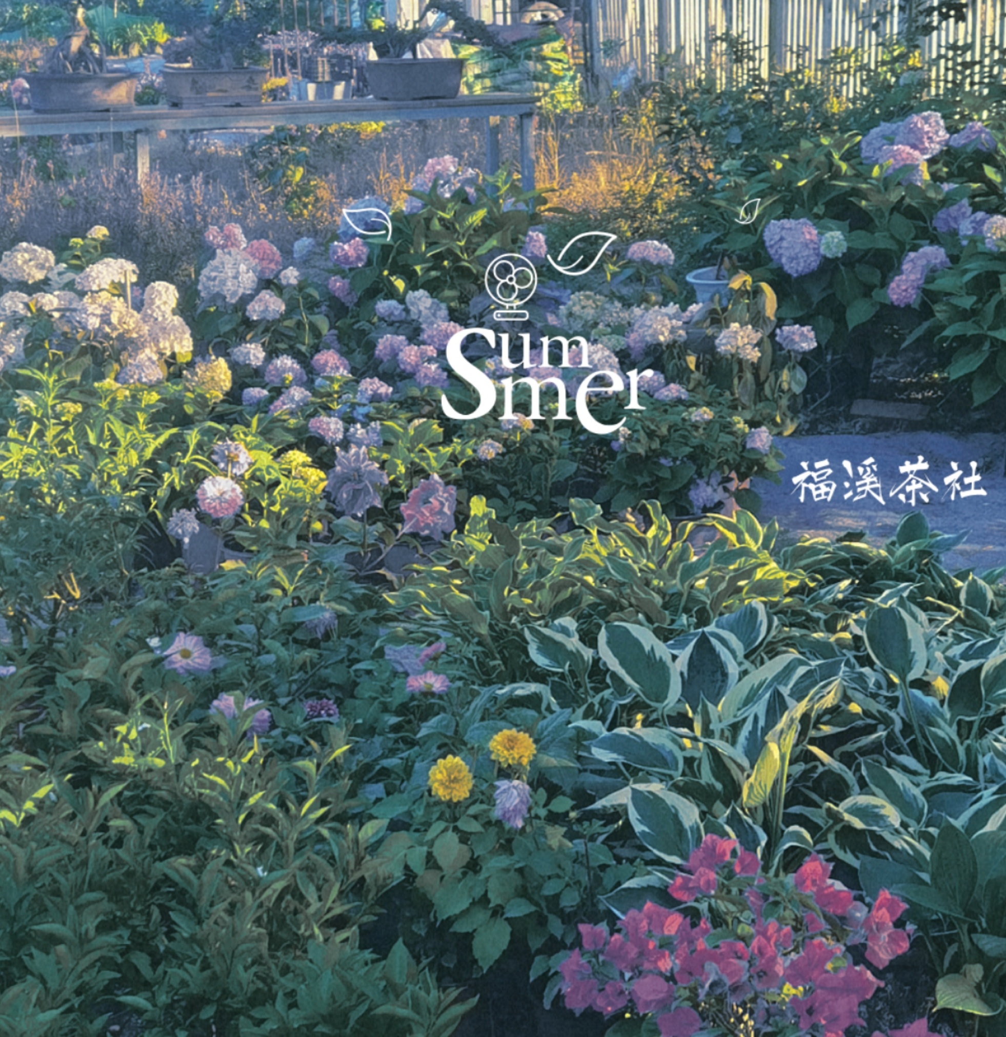 季夏夜之风欢唤大暑节气的热、爱与自由