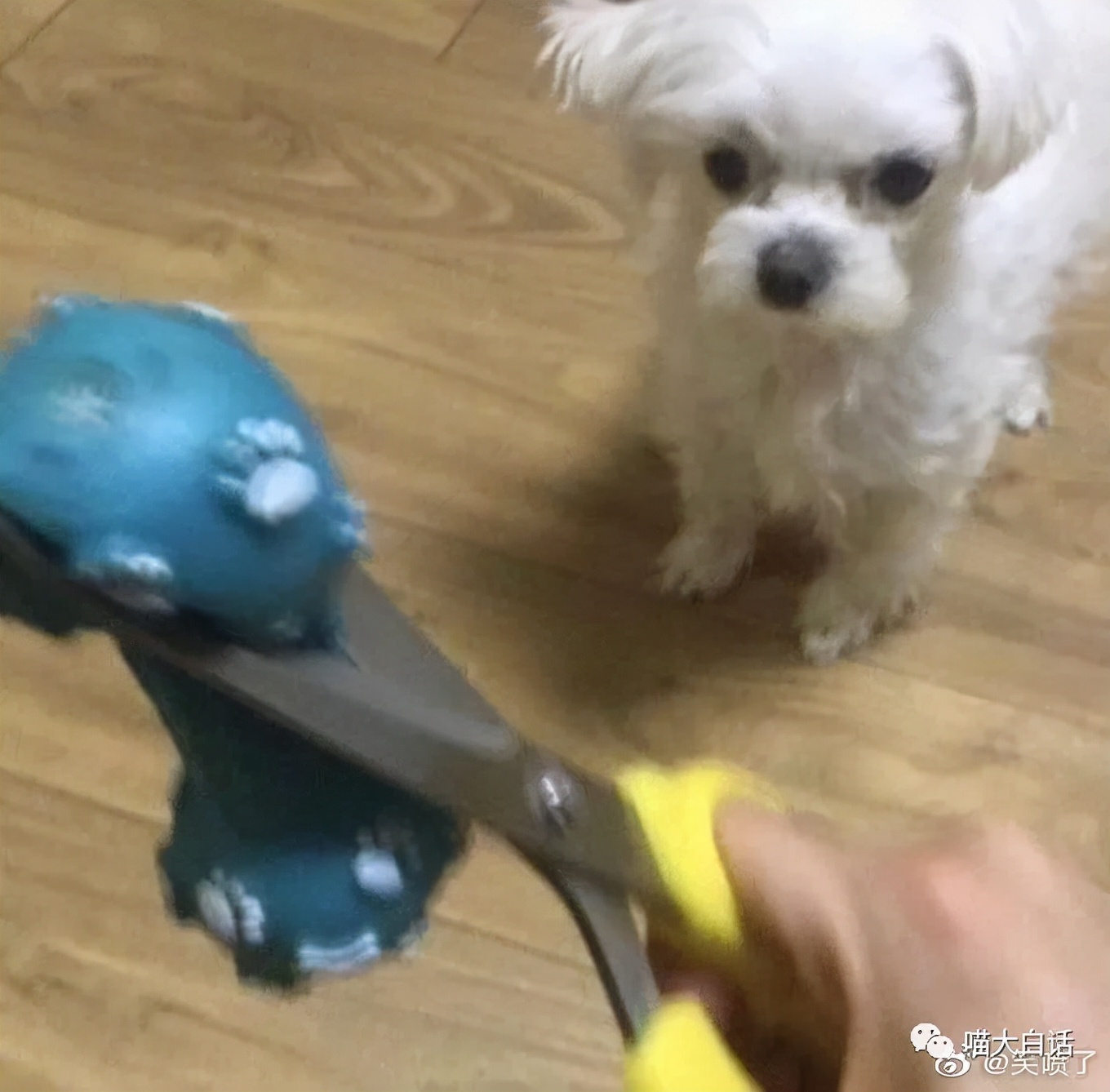 “不小心把饭卡落在女浴室后....”哈哈哈哈哈这是什么名场面