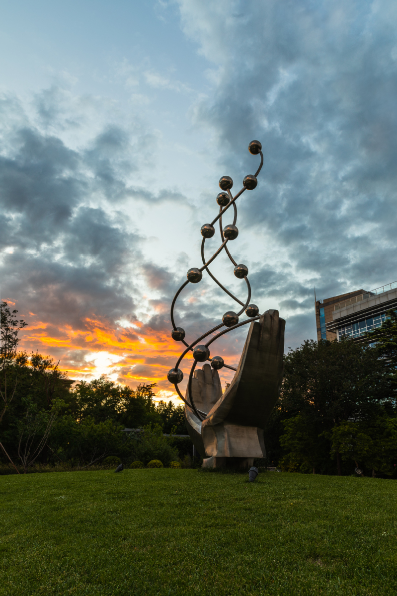 北京化工大学校区专业分布,北京化工大学所有学院