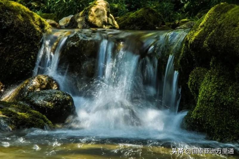挤牛奶，玩泥巴，当小小科学家，9个暑假亲子游目的地安排～