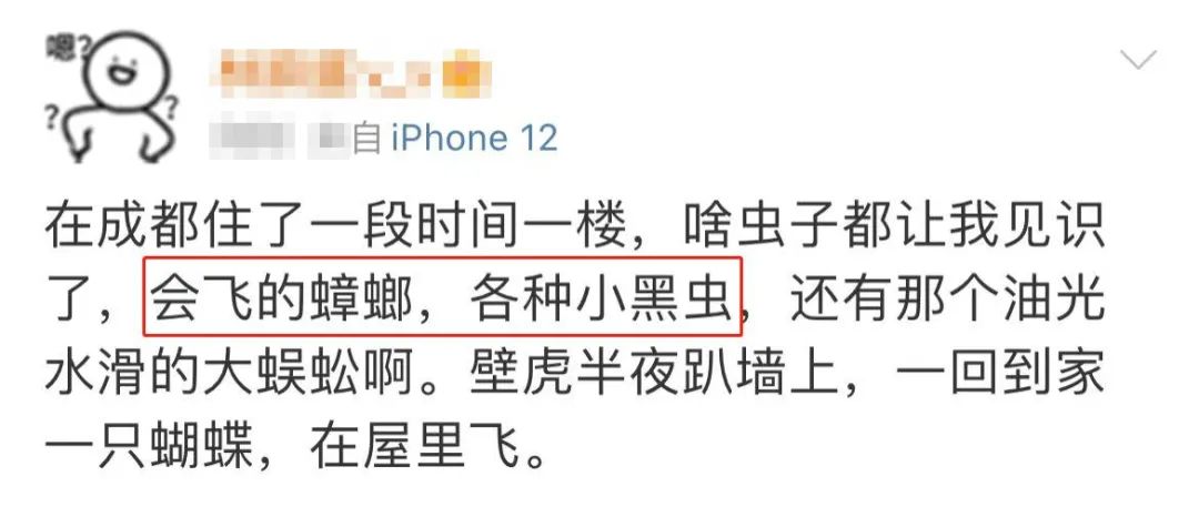 租房选到这层楼，人间第一冤大头