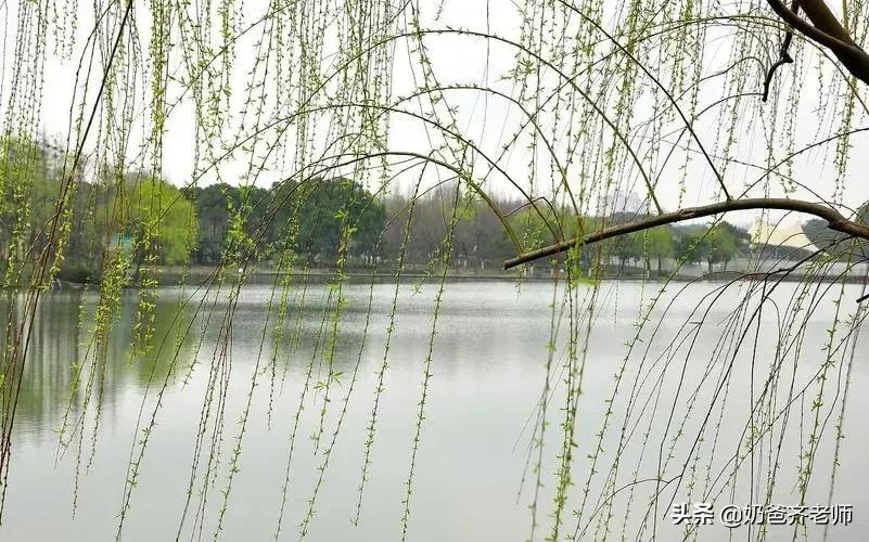 现代春天诗歌大全100首,春天古诗大全100首小学