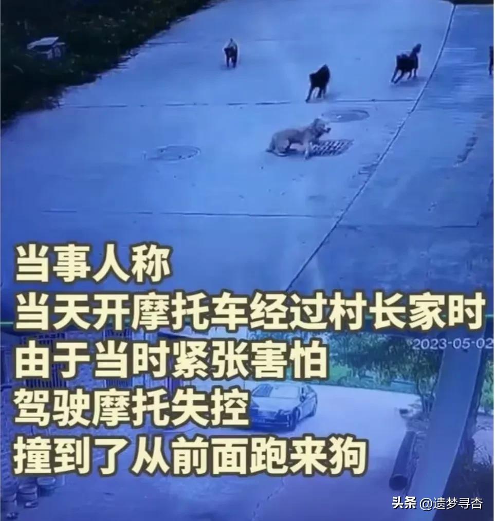 撞到村长的狗被上门殴打最新消息,撞了村长的狗有结果了吗