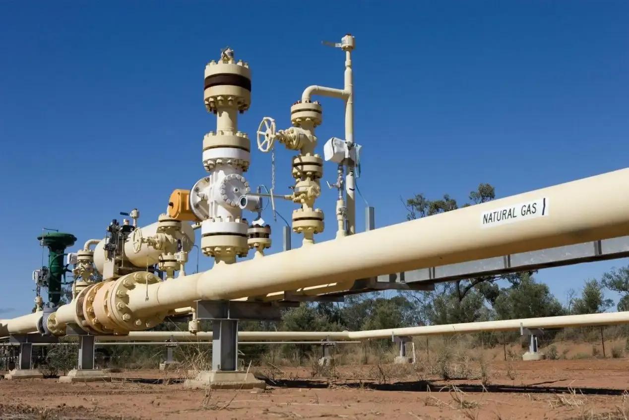 默克尔评价中国力量,默克尔对美国反制措施