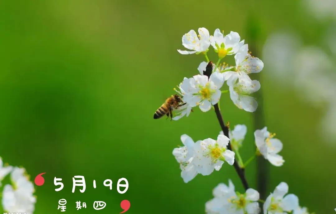 新手发现9：我眼里的头条号百度号企鹅号网易号搜狐号2022