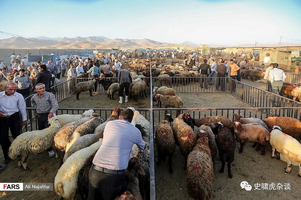 伊朗杂记第二集伊朗人的饮食与酒