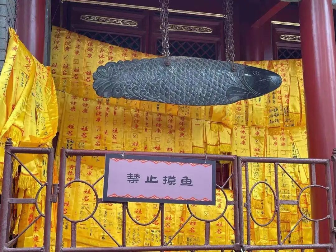 你知道五月十二日是什么日子,5月12日是什么日子