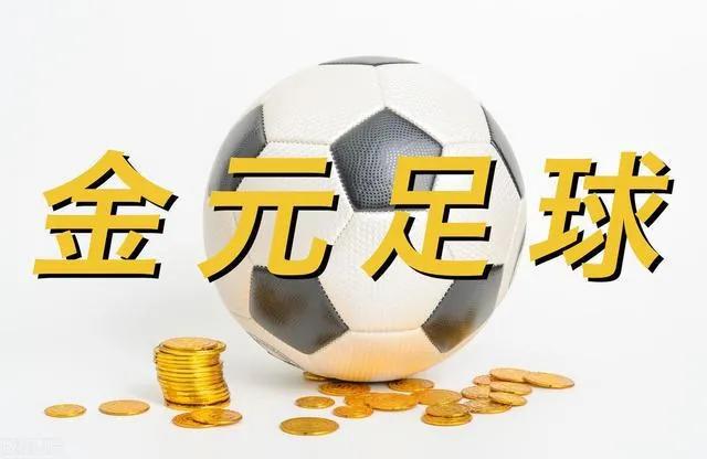 金元足球给中国带来了多少利弊,金元足球代表
