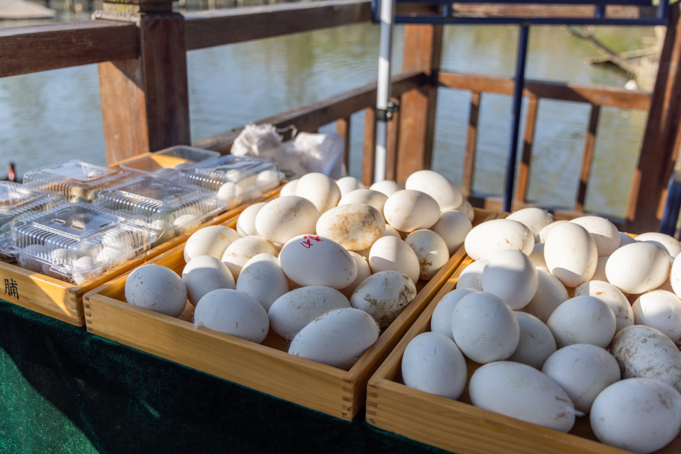 春日下江南杭州,泰州一日游攻略美食