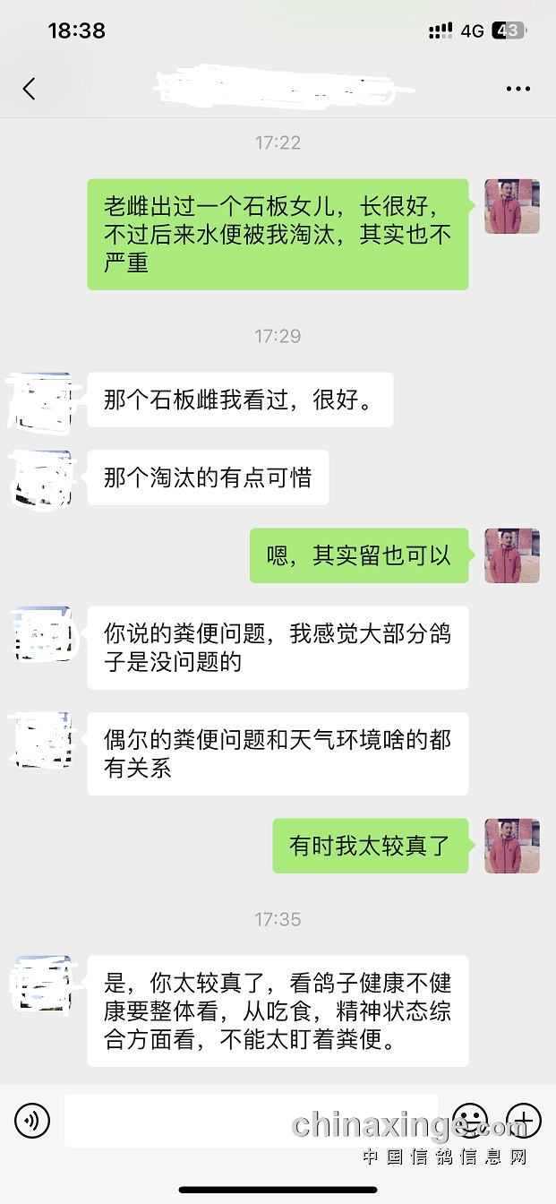 24年开尔冠军血统,小菜鸟申请出战