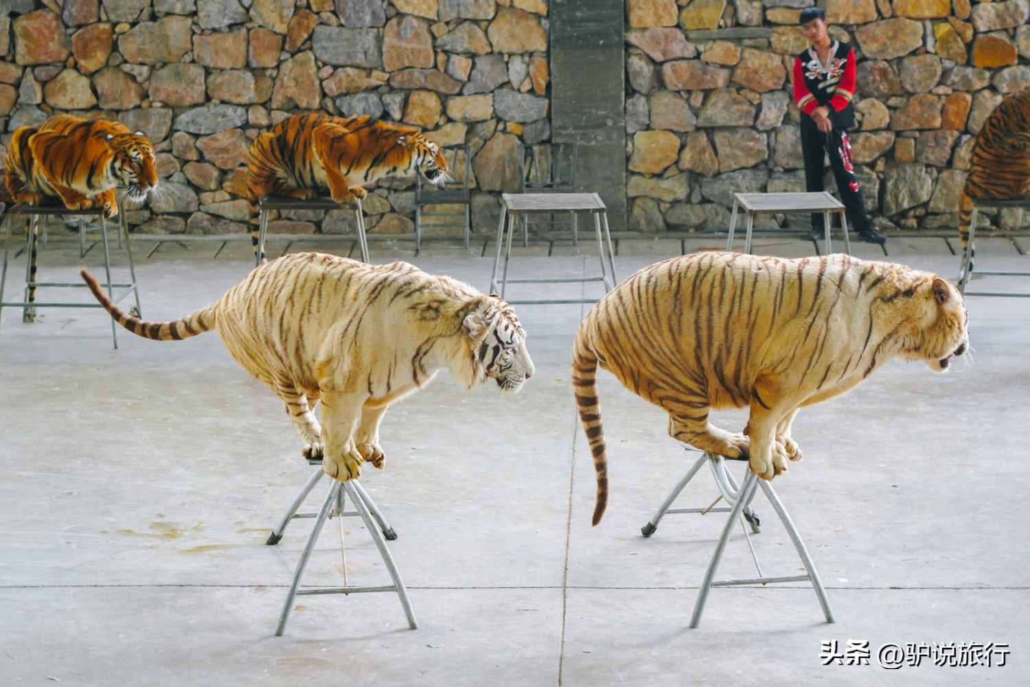 雨天安吉大竹海旅游攻略,安吉避暑探险玩水3天2夜攻略