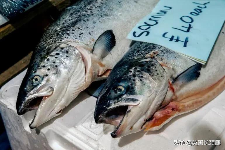 在英国怎么在网上买东西,英国海鲜刺身哪里买