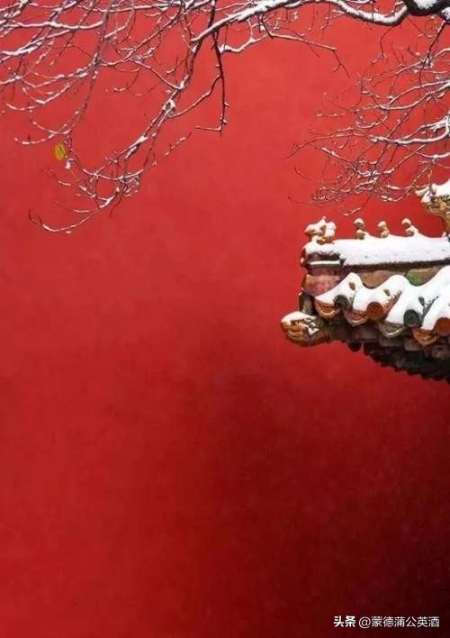 原神迪希雅遇到佣兵,迪希雅主线任务里的佣兵