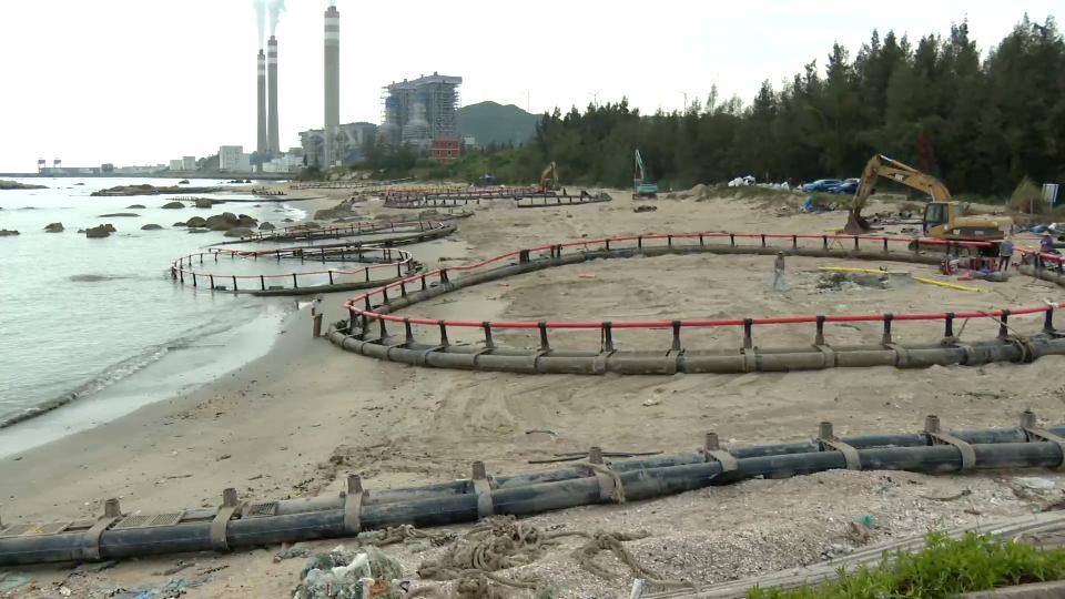 香港海域突现百万鲳鱼，背后原因令人唏嘘