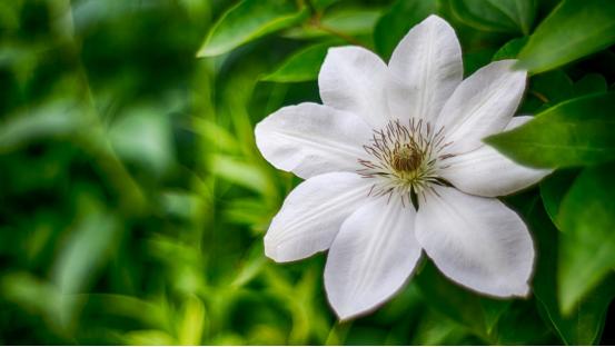 最能赚钱的四大星座,最容易赚钱的五大星座