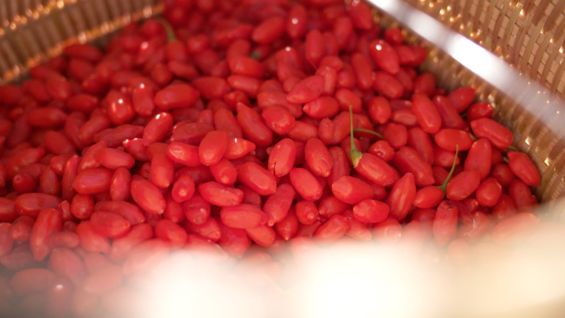 青藏高原诺木洪枸杞,青海诺木洪枸杞什么时候采摘结束