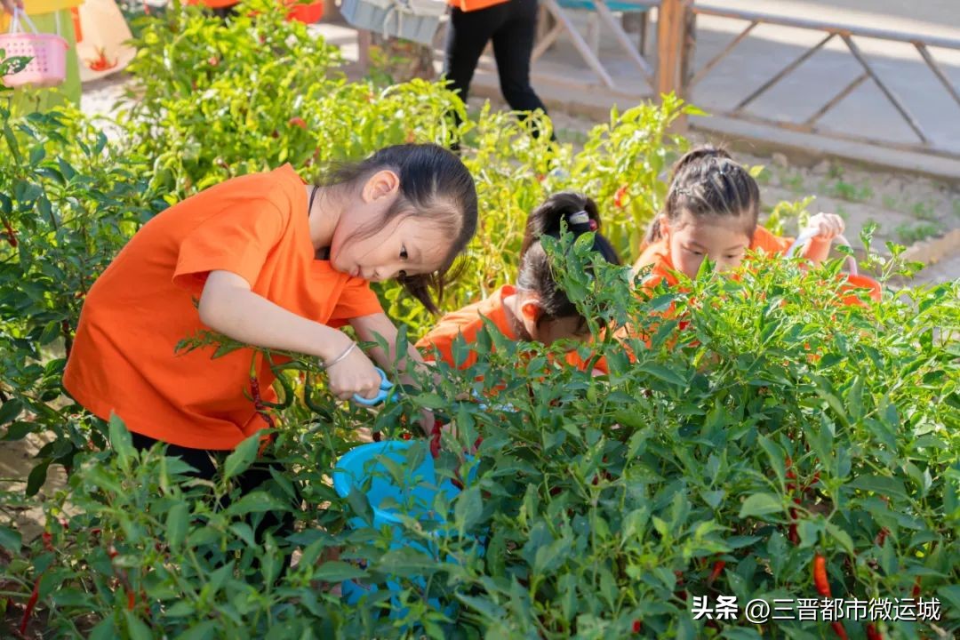 秋光如岁邂逅一场欢喜——临猗县直一园开学季