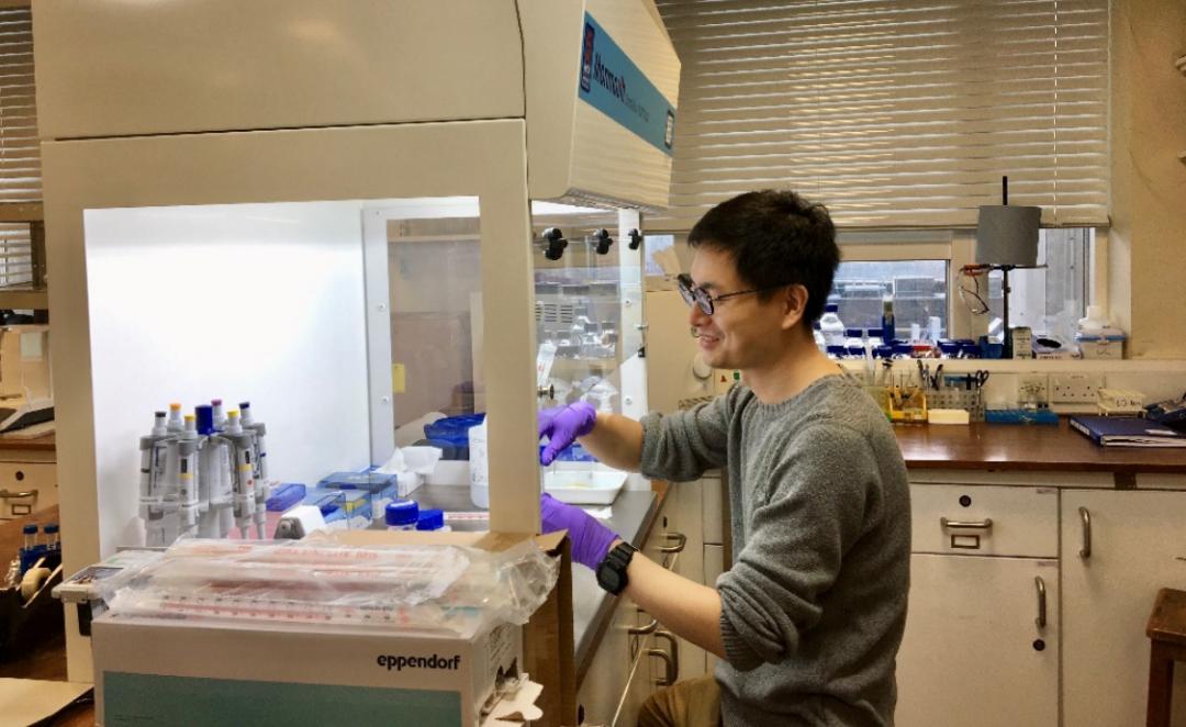 未来的生物传感器,人工智能生物传感器