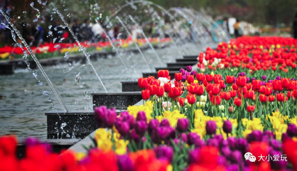 周末来袭快看看可以游玩的好去处 (游玩攻略这些地方你一定要看一看)