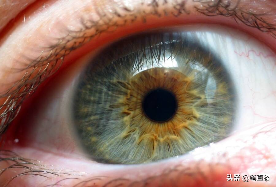 医学家揭秘人在死亡瞬间的感觉,科学证明人类死了要去哪里