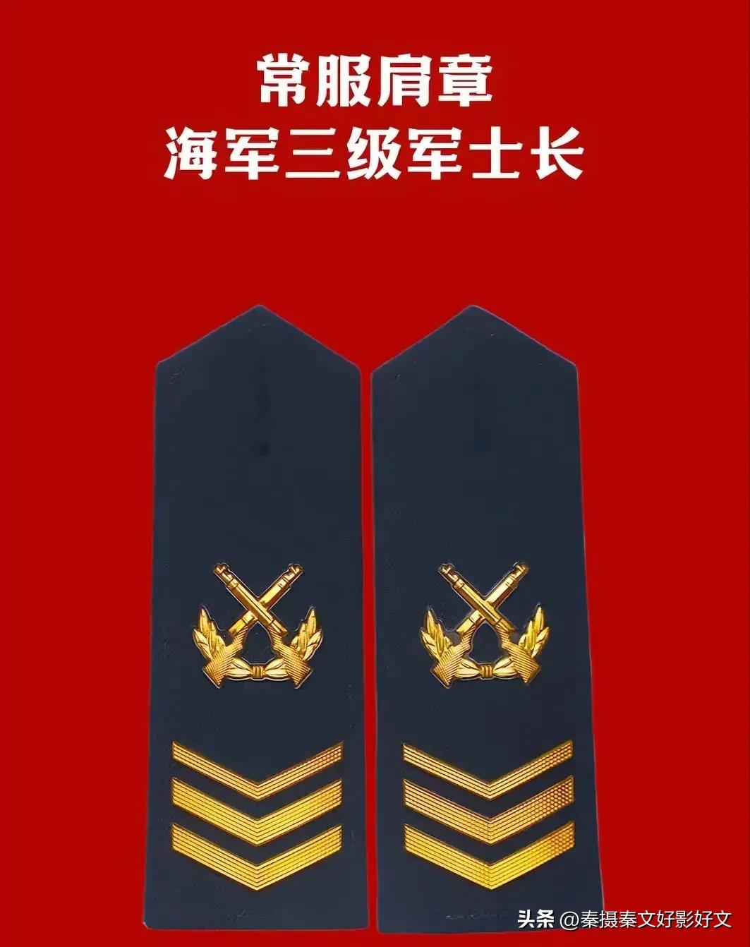 陆海空火箭军*警武**部队全套常服肩章和21式作业服套式肩章