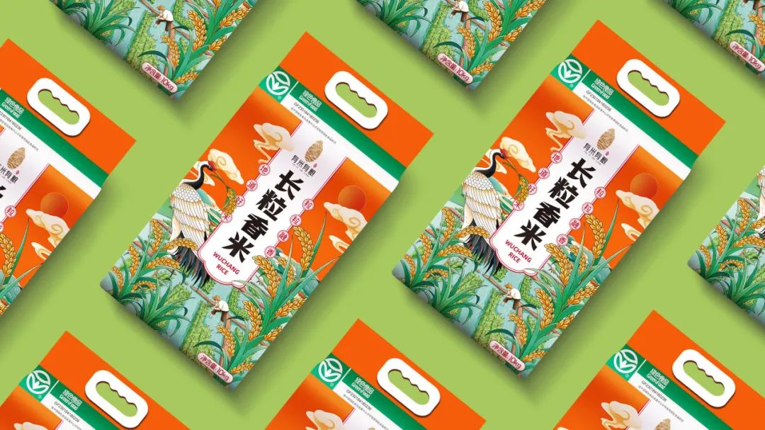 闀囨睙澶х背鍖呰璁捐,澶х背鍖呰璁捐娴欐睙