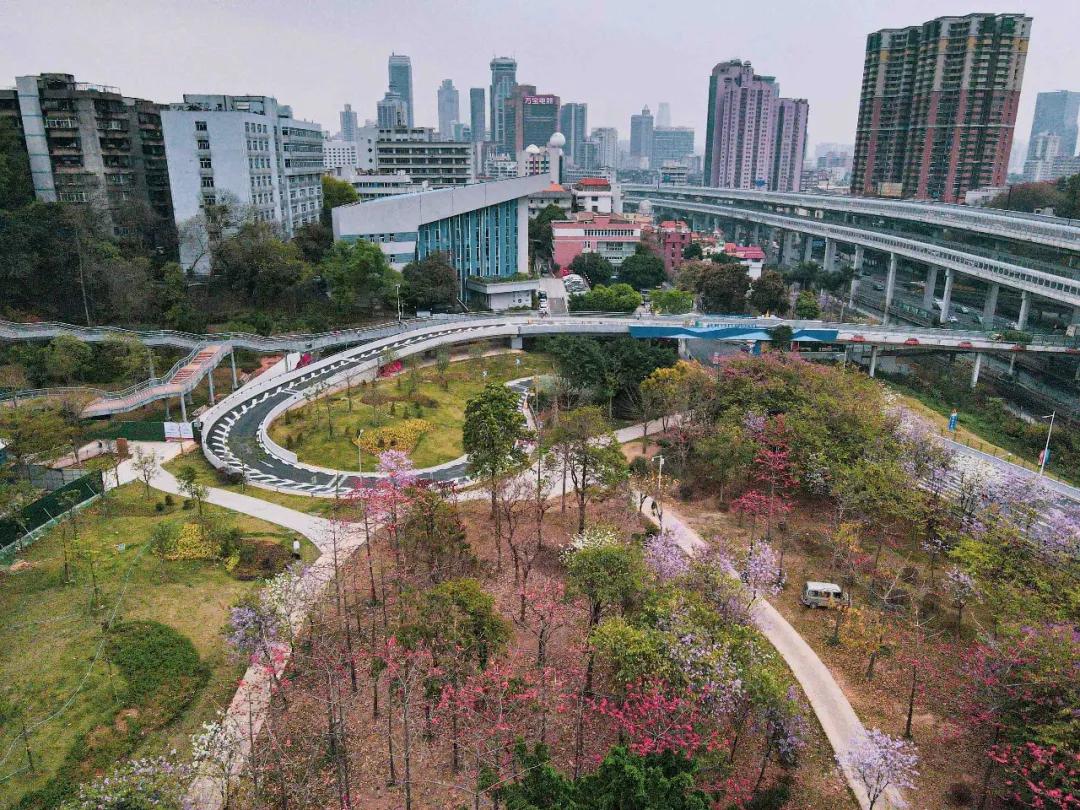 2021广州打卡必去的地方,广州必打卡的十个免费景点